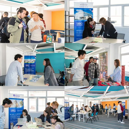 上海理工大学中英国际学院举办2025年度英国合作大学秋季咨询会 聚焦信息技术咨询服务，规划未来留学之路